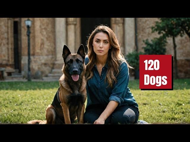 I'M Living With A HIGH ENERGY Belgian Malinois! | Dog Training | Malinois