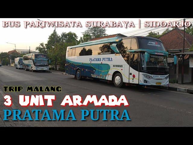 Sewa Bus Pratama Putra Trip Malang SLB Veteran Wonoayu | Pesona Bus Indonesia