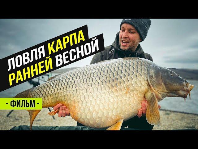 Карпфишинг. Поймали Карпа на 21 кг! Просянка. Водоём Разлив. Часть 1.