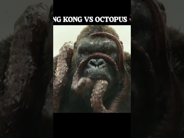 King Kong VS Octopus ।  #movie #xplain #shorts #viralvideos