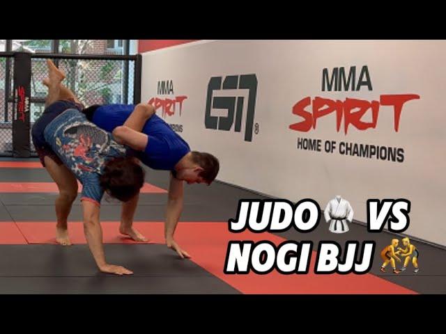 Profijudoka vs. BJJ: Mein erstes Grappling-Erlebnis! MMA-Spirit (English Subtitles)