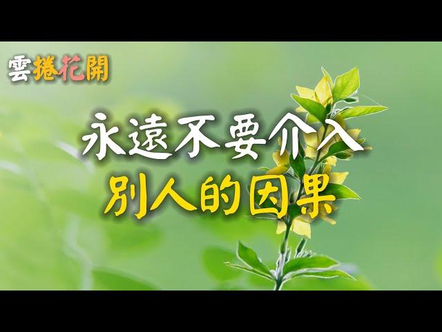 不同情別人的命運，不介入別人的因果 #雲捲花開 #YJHK