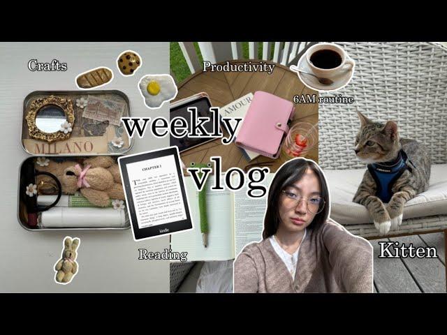 A WEEK IN MY LIFE  || meet my new kitten, 6am routine, crafts, reading, productivity, and more!