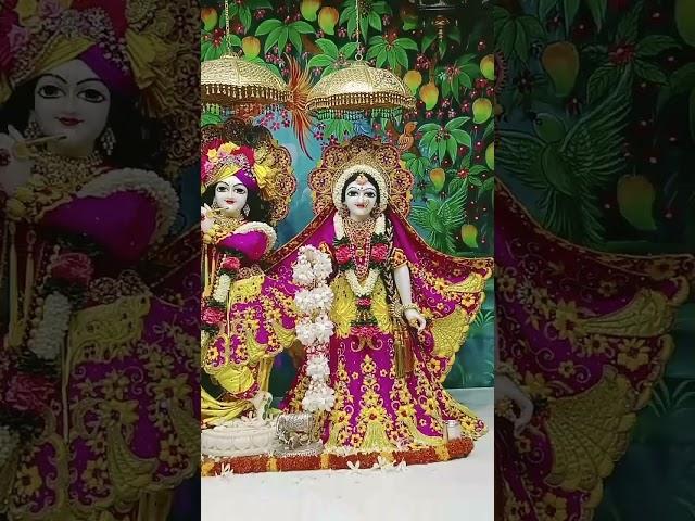 Sri Sri Radha Vrindavan Chandra darshan
