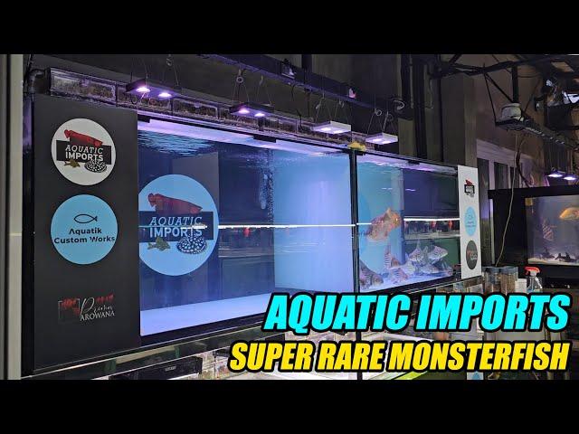 Petshop Visit: Aquatic Imports - Super Rare Monsterfish - PART 2