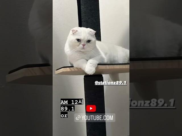220808 미미 인스타그램 스토리