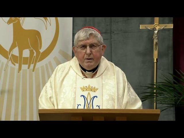 Catholic Mass Today | Daily TV Mass, Friday October 25, 2024