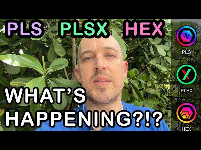  PLS, PLSX and HEX - What's happening with PulseChain ?!?