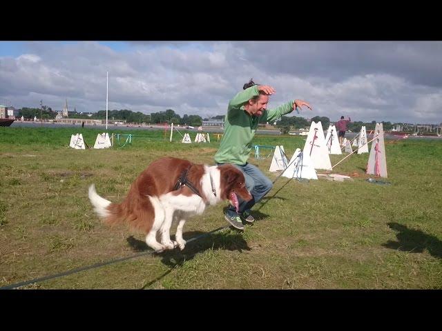 Acrobatic Dog - Tandem Slackline with a Human