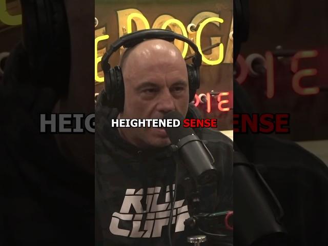 Crazy Heightened Sense - Joe Rogan