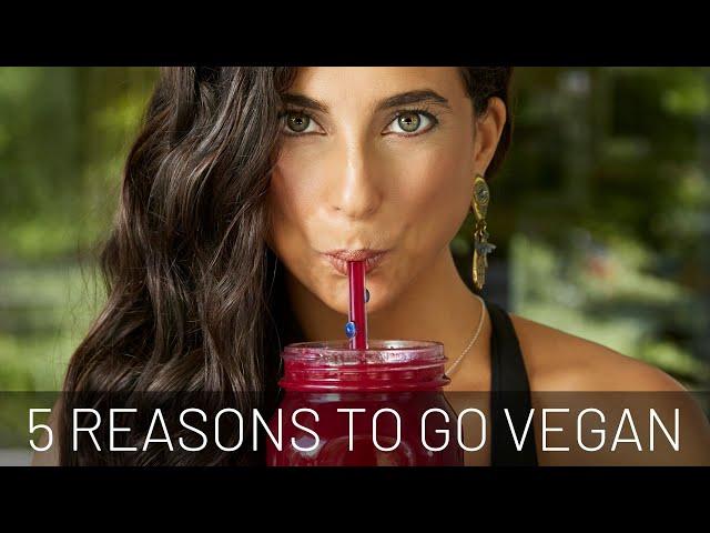 5 Simple Reasons to Go Vegan + Beginner's Tips