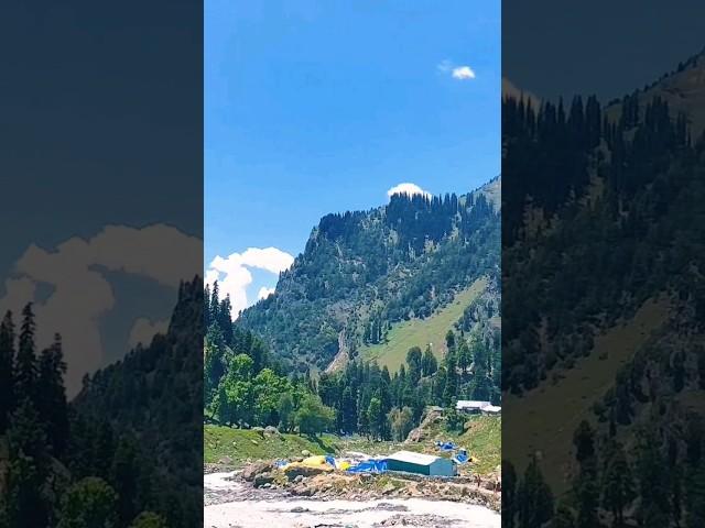 Chandanwari, Pahalgam Kashmir. #shorts #shortsfeed #viral #pahalgam #chandanwari