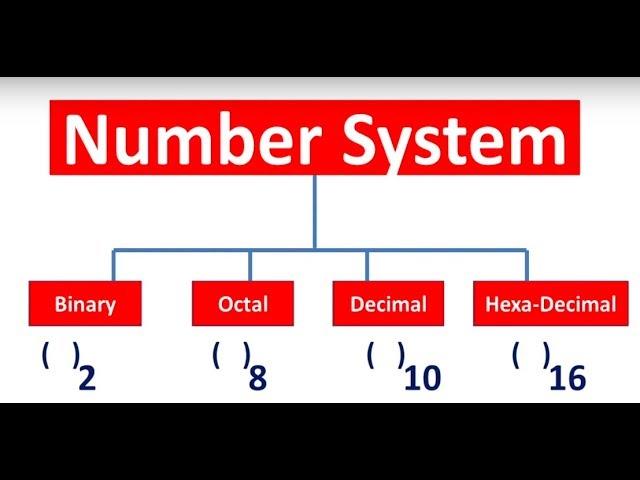 Conversions Binary,Octal,Decimal,Hexa Decimal|Number System Conversion| Class 11 Data Representation