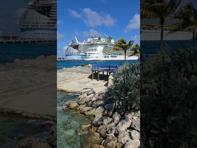 I love this lookout spot on Coco Cay. #royalcaribbean  #wonderoftheseas #bahamas #cruiselife