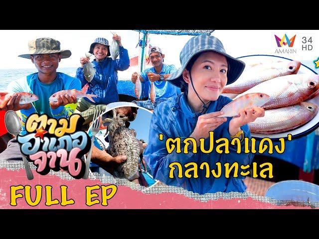Sea Fishing with cuttlefish bait, Takua Pa, Phang-nga