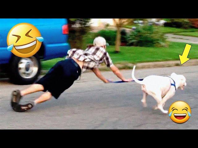 Funny Videos Compilation  Pranks - Amazing Stunts - By Happy Channel #8