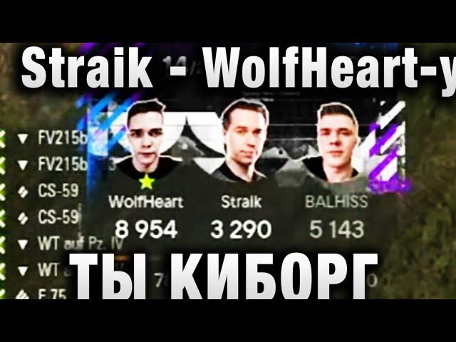 WolfHeart  Straik - ТЫ КИБОРГ  2 ЛУЧШИХ БОЯ ПОДРЯД  ТУРНИР ЧАКА