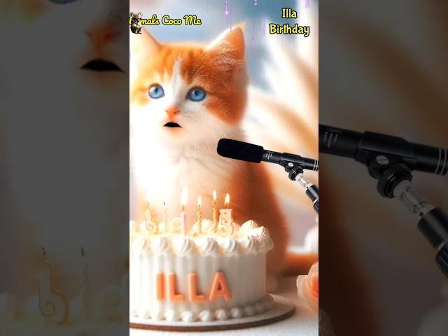 HAPPY BIRTHDAY TO YOU ILLA | HAPPY BIRTHDAY SONG WITH NAMES | Adorable Cute Cat  #cat  #cute