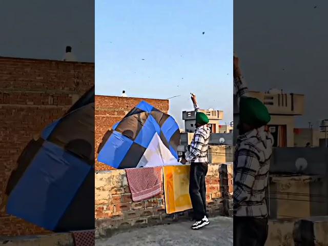 Big Kite FlyingPatang Lover️Amritsar Kite Flying #shorts #patang #kiteflying #viral #ad #trending