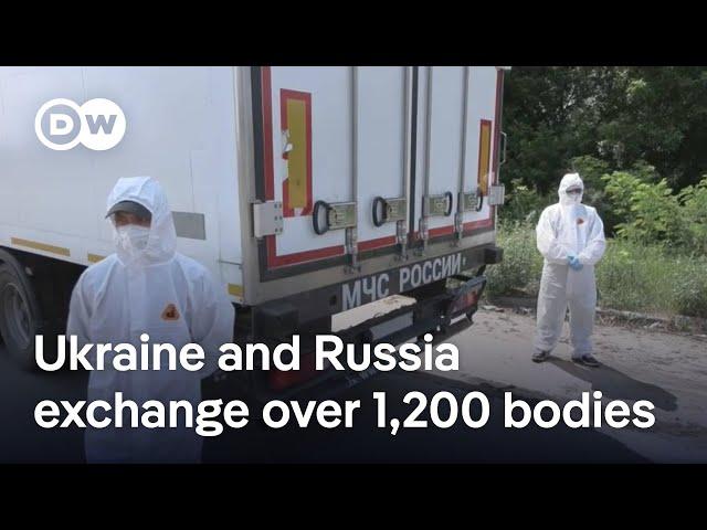 Ukraine and Russie exchange bodies of soldiers killed during war | DW News