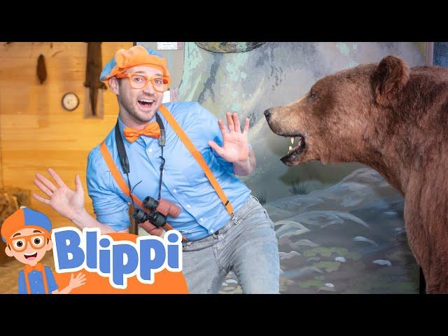 Blippi's Nature Walk | Best Animal Videos for Kids | Kids Songs and Nursery Rhymes