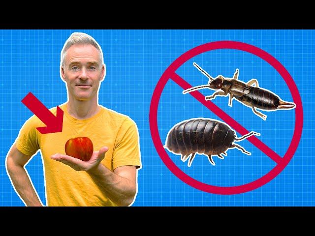 KILL Pill Bugs, Earwigs & Millipedes NATURALLY