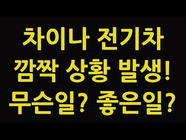 차이나 전기차 SOLACTIVE 주식 주가 전망 타이거 TIGER 중국 ETF 비야디 테슬라 니콜라 루시드 엔비디아 아이온큐 TQQQ SOXL TMF 좋은 결과 가능?