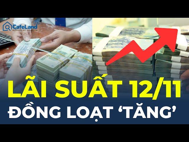 Lãi suất ngân hàng 12/11: Đồng loạt 'TĂNG' lãi suất huy động | CafeLand