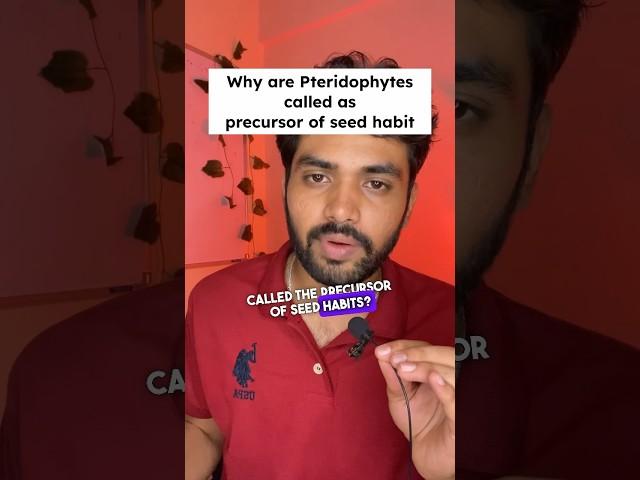 Pteridophytes Plant Kingdom| NEET 2024 Important Questions | Revision Series & predicted paper