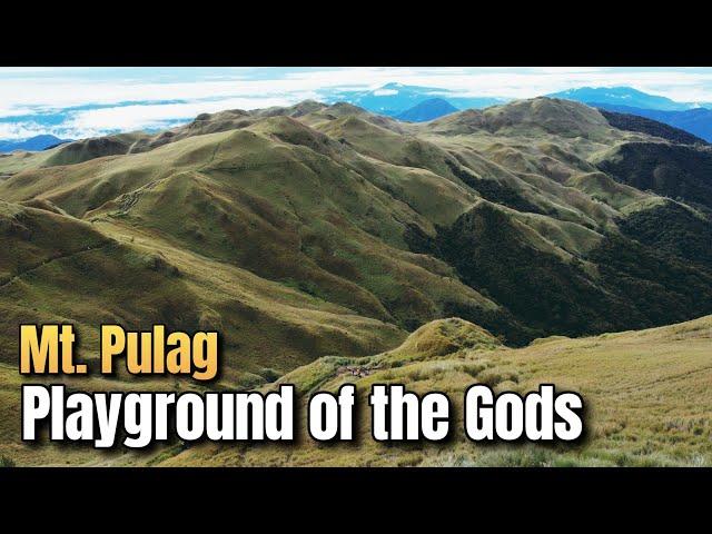 Highest Mountain in Luzon | Mt. Pulag | Mossy Forest | Grassland