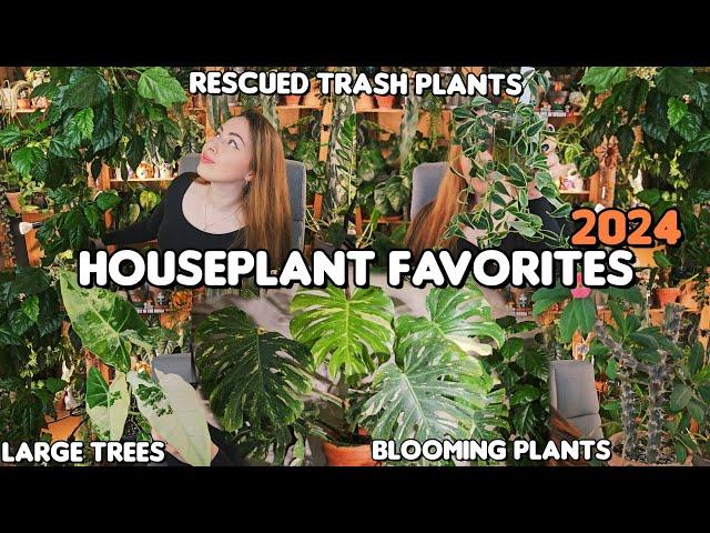 Top 10 Favorite Plants of 2024