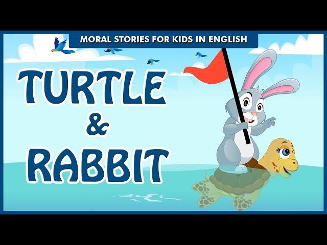 Turtle & Rabbit | Secret of Winning Together | Bedtime Stories | English Moral Stories Ted And Zoe