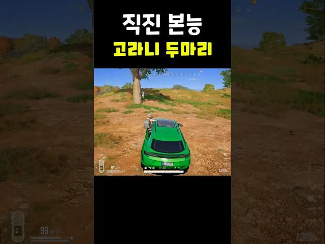 [배틀그라운드] 직진본능ㅋㅋ #배그 #배그쇼츠 #pubg