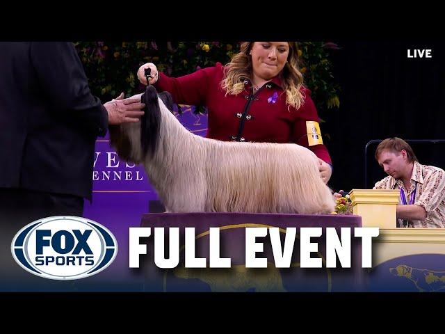 Terrier Group Judging 2025 | FULL EVENT | Westminster Kennel Club