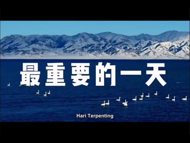 Hari Terpenting 最重要的一天！#听卢爷爷讲故事 #kisahsingkatnanbijaksana