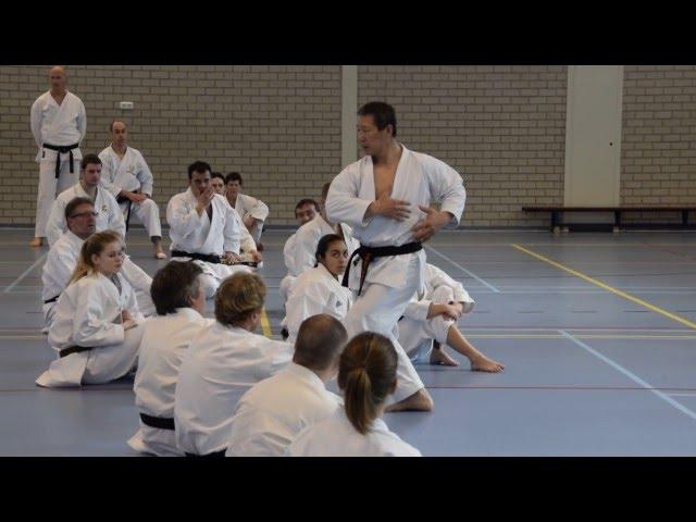 Kagawa-sensei demonstrates how to move in kokutsu-dachi