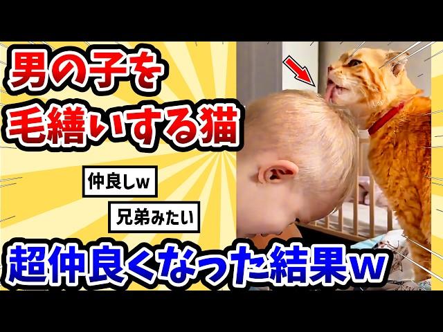 【2ch動物スレ】男の子を毛繕い猫 → 超仲良くなった結果www