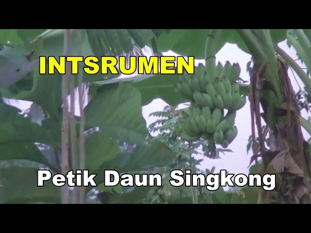 INSTRUMEN PETIK DAUN SINGKONG#viral Lagu Timor#editor Ailaku Studio#video Tradisi#