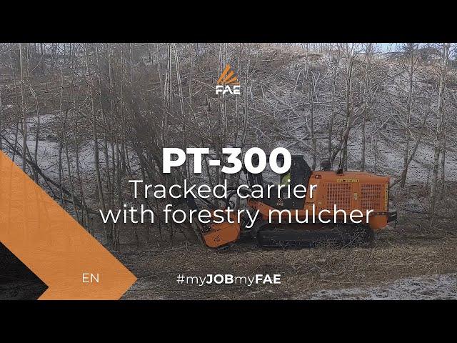 FAE PT-300 tracked carrier with forestry mulcher - Brush clearing in Cochrane, Alberta (Canada)