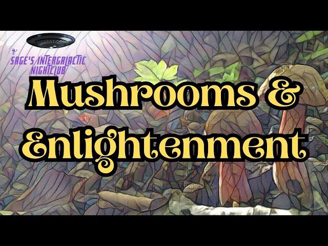 Mushrooms and Enlightenment: The Big One (Trips that Changed My Life Ep. 3)