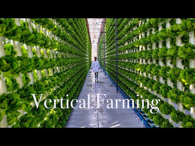 CAN-Agri – Vertical Farming. Amazing Modern Farming Technology