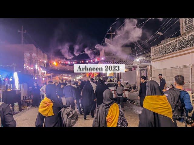 4K | Najaf to Karbala Arbaeen Walk 2024 | Karbala | 2024 | Mashi |