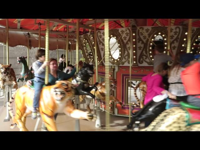 Phoenix ZOO carousel