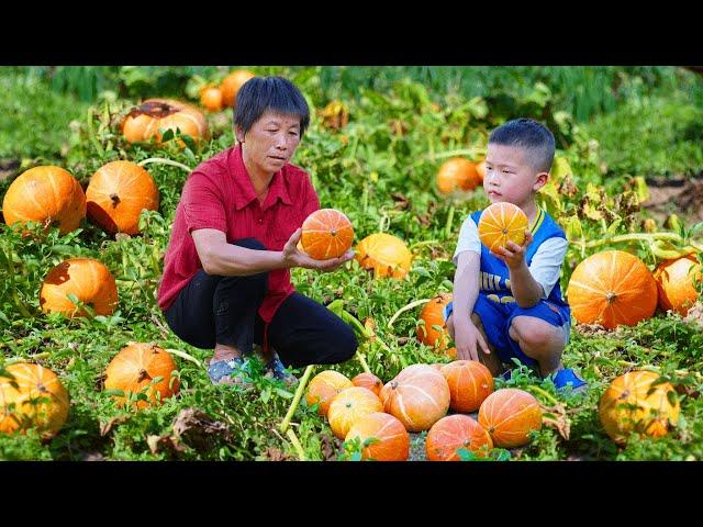 Pick a basket of red chestnut squash and make a sweet and glutinous taste for early autumn.