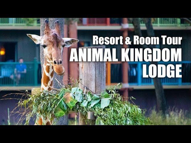 Disney's Animal Kingdom Lodge Club Level Resort & Room Tour (2019)