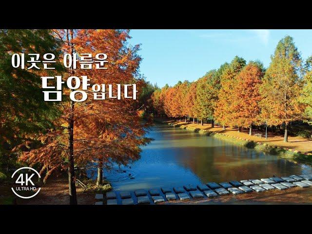 2023 담양 관광 사진·UCC 공모전 수상작 우수상 | 관방제림 | 메타세쿼이아길 | 메타프로방스 | 소쇄원 | 죽녹원 | 담양호 | 담양여행 | 남도여행지