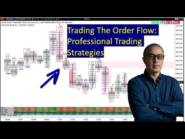 Professional Trading Strategies Trading The Order Flow