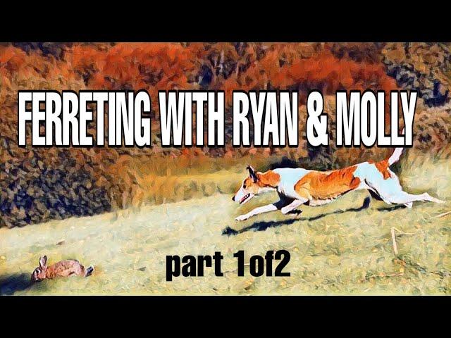 A GREAT DAY FERRETING WITH MOLLY THE MACHINE PART 1 OF 2