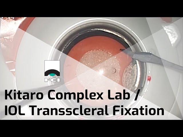 Kitaro Complex Lab |Training Kit | Small Pupil Management & Weak Zonules | Exclusive | FCI Cataract