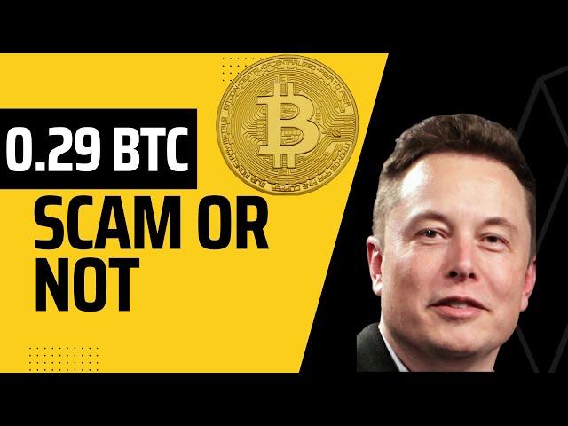 Crypto news | Elon Musk Crypto-giveaway: SCAM or NOT?